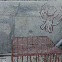 قفس|لوازم جانبی حیوانات|قروه, |دیوار