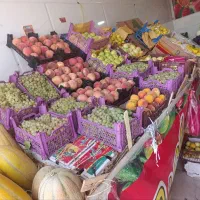 بساط میوه فروشی|فروشگاه و مغازه|شیراز, وزیرآباد|دیوار