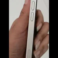 آیفون ۱۳نرمال (در حد نو)|موبایل|شیراز, فرهنگ شهر|دیوار