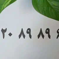 خط ثابت   ۶  ۸۹  ۸۹  ۲۲۰
