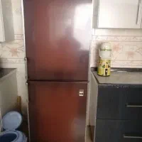 یخچال فریزر الکترو لوکس