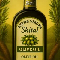 استخدام مسئول فنی