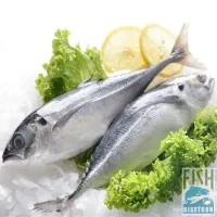 ماهی تازه جنوب رسید|خوردنی و آشامیدنی|کاشان, میدان میوه تره بار|دیوار