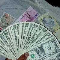 دلار کلکسیونی