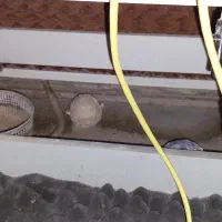 سوپر سایلنت باکس حرفه ای|قطعات و لوازم جانبی رایانه|اصفهان, بهارستان|دیوار