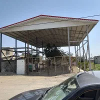 شیروانیکاری توکلی