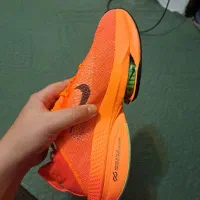 کتانی رانینگ|کیف، کفش، کمربند|بندر انزلی, بشمن|دیوار