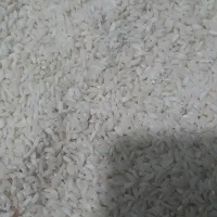 برنج عنبربو سال گشت درجه یک