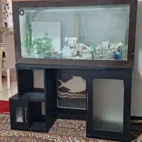 آکواریوم سالم با زیر Mdf|ماهی|کرج, حصارک بالا|دیوار