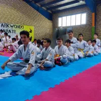 آموزش تخصصی کیوکوشین و دفاع شخصی کاربردی|خدمات آموزشی|مشهد, کوشش|دیوار