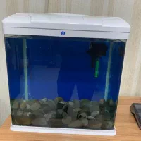 اکواریوم شیشه خم