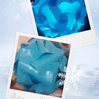 وسایل آشپزخانه|ظروف پختوپز|تهران, دانشگاه شریف|دیوار