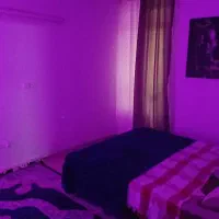 آپارتمان مبله|اجارهٔ کوتاه‌مدت آپارتمان و سوئیت|شیراز, ریشمک|دیوار