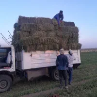 نیسان کامیونت زد اف zf بی دماغ|خودرو سواری و وانت|تهران, افسریه جنوبی|دیوار