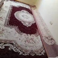 فرش سالم یک عدد