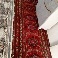 قالی دست باف|فرش|مشهد, کوی دروی|دیوار