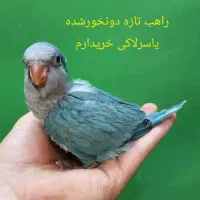 راهب