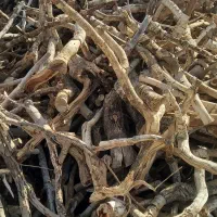 چوب کنده پسته