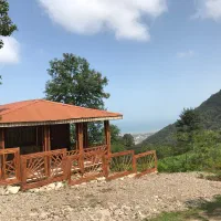 کلبه جنگلی دنج