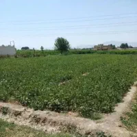 فروش ۴حبه تلمبه در راین (کشاورزی)