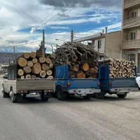 چوب کنده ریشه درخت حرص خریدار با بالا ترین قمیت|خدمات باغبانی و درختکاری|نیشابور, خیام|دیوار