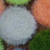 ظرفشور