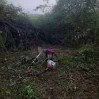 خدمات باغی چمن زنی علف زنی تمیز کردن علف هرز تمشک|خدمات باغبانی و درختکاری|رشت, یخسازی|دیوار