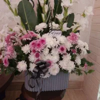 سبدگل طبیعی بزرگ برای تسلیت یاتبریک