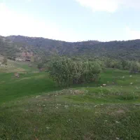 زمین