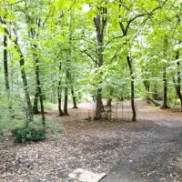 پکیج همراه با رادیاتور درحدنو