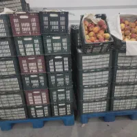 سیب برای سرکه