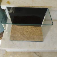 فروش آکواریوم سایز کوچیک و بزرگ