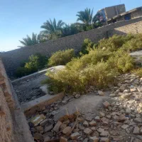 ملک زمین