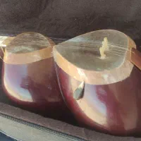 تار دومهر مهیار نوروزی|سازهای سنتی|اصفهان, ناصرخسرو|دیوار