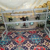 آب چکان رومیزی|آب‌چکان و نظم‌دهنده ظروف|زاهدان, |دیوار