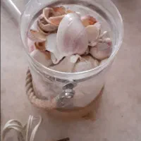 لوازم آکواریوم|ماهی|تهران, امام زاده عبدالله|دیوار