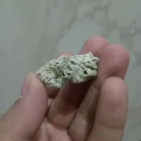سنگ و فسیل قدیمی معاوضه باقناری یاهرچیزدیگر