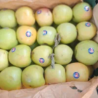 فروش سیب|عمدهفروشی|اهر, |دیوار