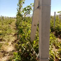 پایه فنس بتنی|خدمات پیشه و مهارت|اراک, |دیوار