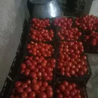 رب خونگی|خوردنی و آشامیدنی|تهران, جوانمردان (اندیشه)|دیوار