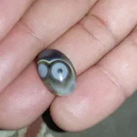 باباقوری.چشمک اصل و شرف الشمش