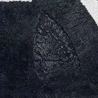 فرش فانتزی در حد نو و استفاده نشده|فرش|تربتحیدریه, مظفریه|دیوار