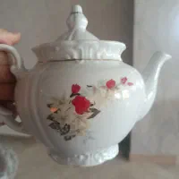 سرویس چینی زرین جهت تکمیل سرویس