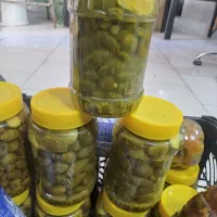 ترشی بادنجان ظرفی ۱۰۰|خوردنی و آشامیدنی|شیراز, شهرک فرهنگیان|دیوار