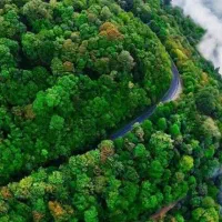 پارتنر طبیعت گردی گیلان