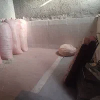 فروش خانه در کریم اباد دو راهی سد|فروش خانه و ویلا|بمپور, |دیوار