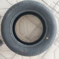 ۲ حلقه لاستیک