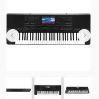 ارگ medeli dantezen