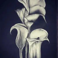 انواع طراحی به سبک های مختلف پذیرفته میشود|تابلو، نقاشی، عکس|تهران, امیریه|دیوار