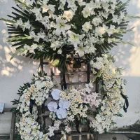 تاج گل برای مراسم|گل و گیاه طبیعی|بابلسر, |دیوار